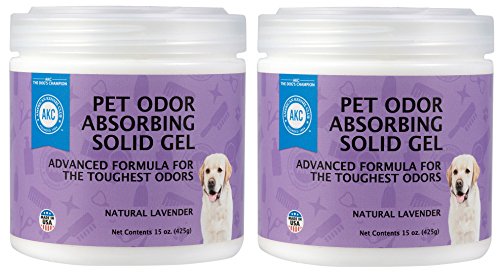 SMELLS BEGONE Pet Odor Absorber Gel - Air Freshener & Odor Eliminator - Made with Essential Oils - Lavender Scent - 15 Ounce - 2 Pack