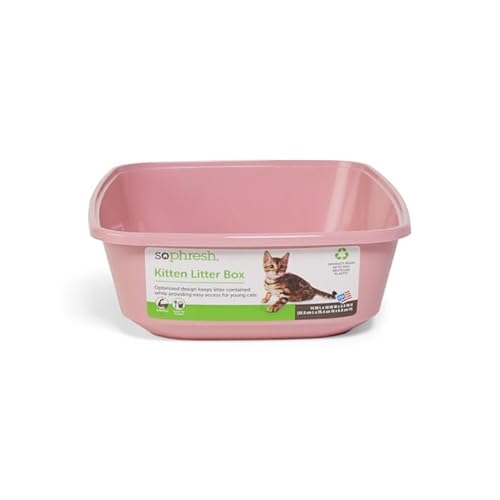 So Phresh Pink Open Kitten Cat Litter Box, 14" L X 10" W X 3.5" H