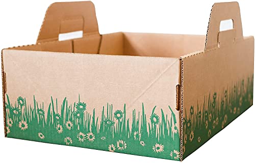 tensecondlitterbox Disposable Ten Second Litter Boxes for Kitty/Cats (4 Count). Biodegradable Solution for Quick and Easy Disposal. Made of Recyclable Material. (4-Pack), 17x13x6''