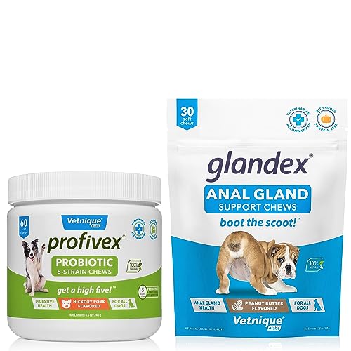 VETNIQUE Profivex 5-Strain Probiotic Soft Chews (60ct) & Glandex Anal Gland Support Peanut Butter Soft Chews (30ct Peanut Butter) for Dogs Bundle