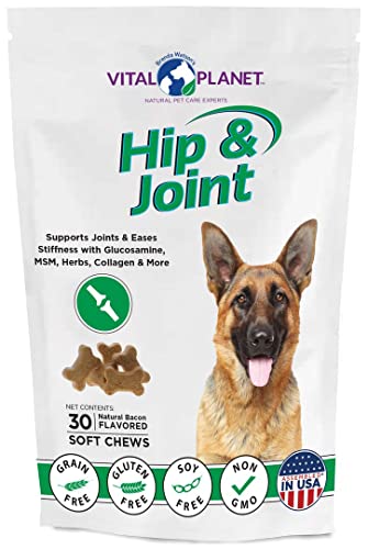 Vital Planet - Hip and Joint Soft Chews for Dogs, with Glucosamine, MSM, and Collagen from Green-Lipped Mussel - 30 Bacon Flavored Soft Chews