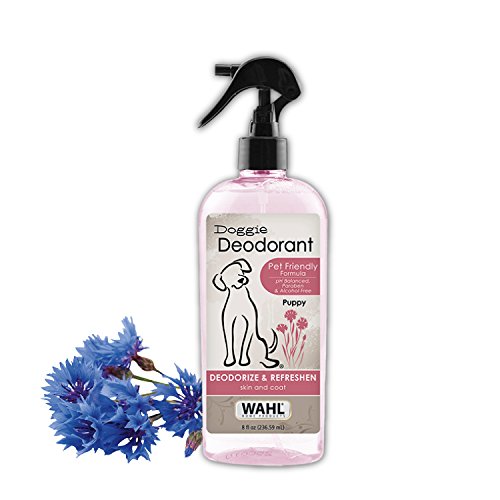 Wahl USA Cornflower Aloe Pet Deodorant Spray for All Dogs & Cats – Clean Fresh Smell Refreshes & Deodorizes – 8 oz - Model 820009A