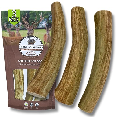 WhiteTail Naturals | 3 Pack Medium | Deer Antler Dog Chews | All Natural Organic Antlers for Dogs | Long Lasting Antler Bones for Dogs | Durable Antler Dog Toy