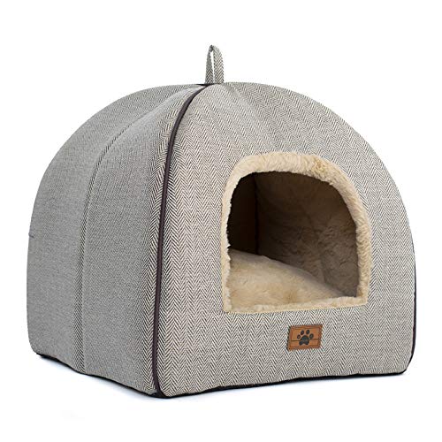 Cat House For Multiple Cats