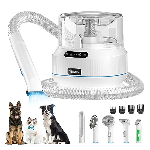 Best Vacuum Dust Buster For Coffee Grounds Cat Litter Particles