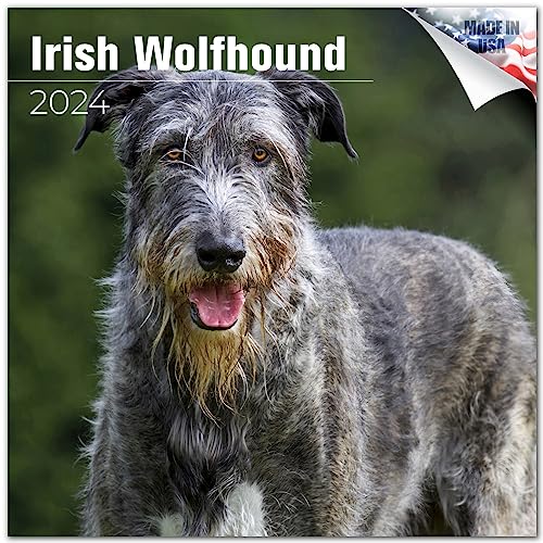 2023 2024 Irish Wolfhound Calendar - Dog Breed Monthly Wall Calendar - 12 x 24 Open - Thick No-Bleed Paper - Giftable - Academic Teacher's Planner Calendar Organizing & Planning - Made in USA
