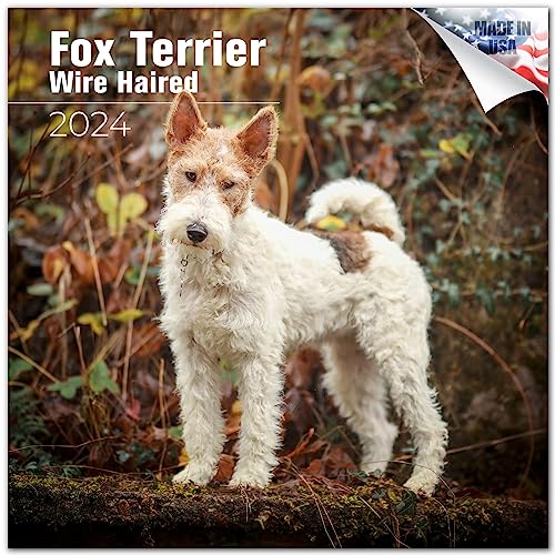 2023 2024 Wire Fox Terrier Calendar - Dog Breed Monthly Wall Calendar - 12 x 24 Open - Thick No-Bleed Paper - Giftable - Academic Teacher's Planner Calendar Organizing & Planning - Made in USA