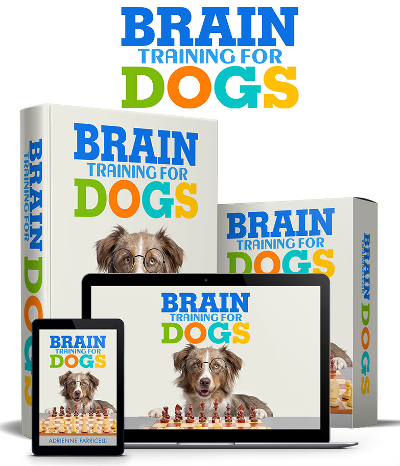 Brain Training for Dogs