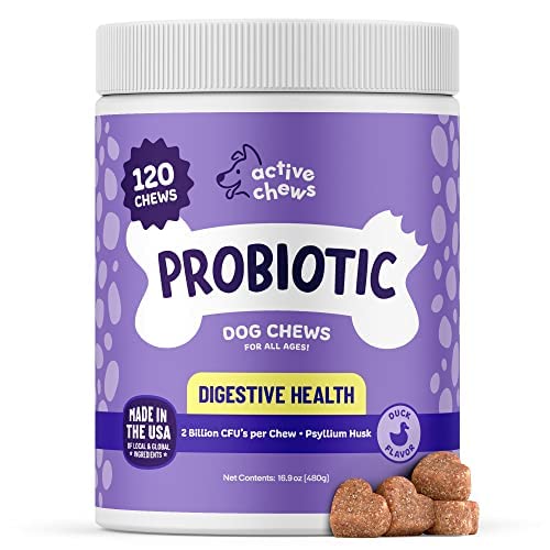 Active Chews | Pet Probiotics for Dogs | Dog Probiotics and Digestive Enzymes for Dogs Diarrhea, Gut Health for Dogs | Probiotic Chews for Dogs w/Fiber, Puppy probiotic Digestive Health, 120 ct