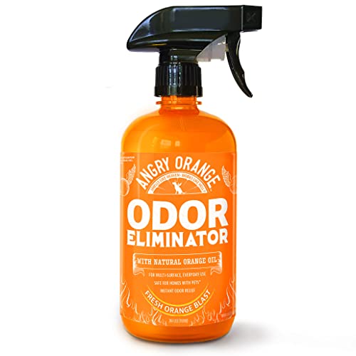 Homemade Pet Stain And Odor Remover