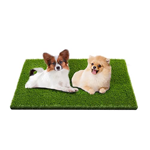 Artificial Grass, Fake Grass Pee Pads for Dogs, Professional Grass Rug Turf for Pet Potty Training, Reusable Dog Pee Grass, Indoor Dog Grass Pads with Drainage Hole and Easy to Clean (23.6x31.5in)