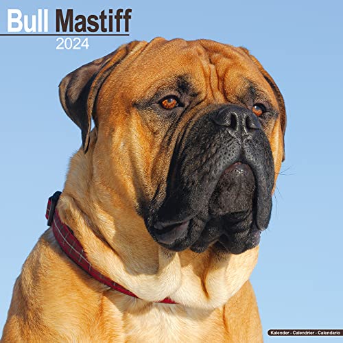 Bull Mastiff Calendar - Bullmastiff - Dog Breed Calendars - 2023 - 2024 wall calendars - 16 Month by Avonside