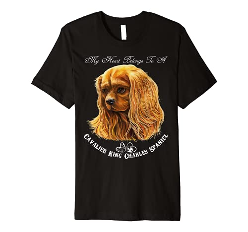 Cavalier King Charles Spaniel