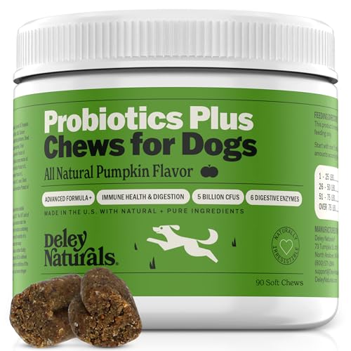 Deley Naturals Probiotics Plus Chews for Dogs, Gut Health Supplement, 5 Billion CFU's, Digestive Enzymes, Prebiotics, Dog Allergies, Diarrhea, Yeast, Pumpkin Flavor, 90 Count - Made in The USA