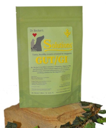 Dr Becker's Gut/GI Solution Bites Treats - Natural Supplement for Digestive System for Dogs