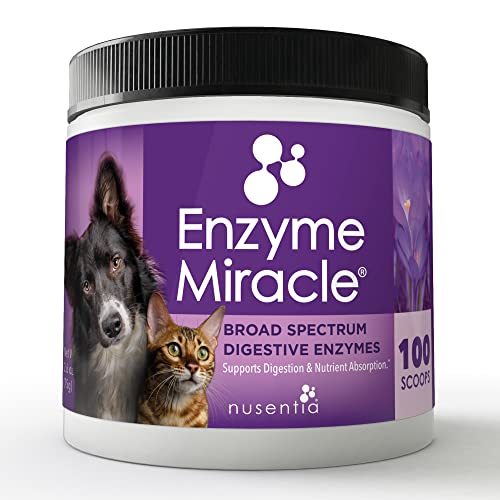 Enzymes for Cats & Dogs : Enzyme Miracle® (100 Servings) : for Digestive Stress, Pancreatic Concerns, and Healthy Weight Management.