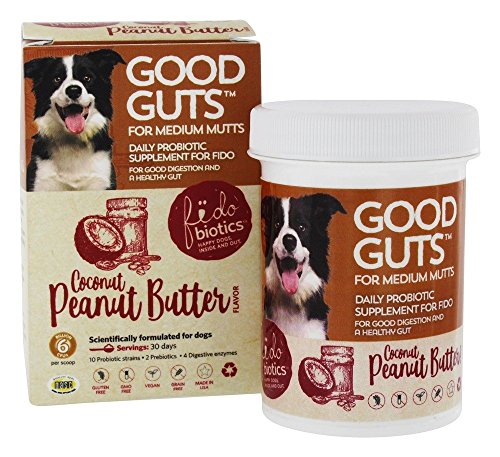 Fidobiotics, Good Guts Medium Dog, 1 Count