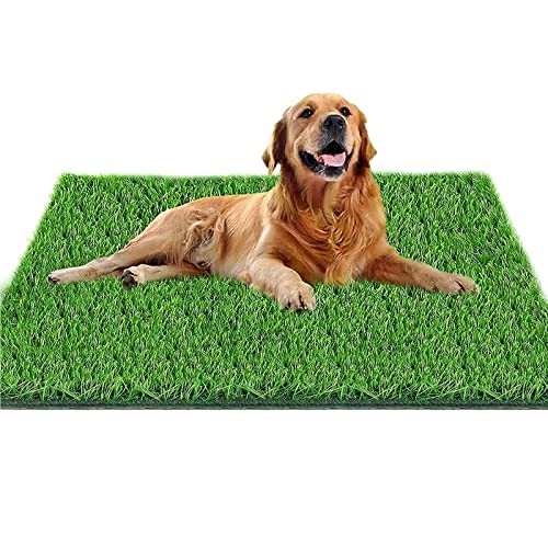Fortune-star Dog Pee Grass, 51.2in X 31.5in Dog Potty Grass, Artificial Grass for Dogs Suitable for Indoor/Outdoor and Dog Potty Training （Turf Dog Potty Easy to Clean and Use