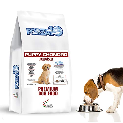 Best Dog Food For 6 Month Puppy