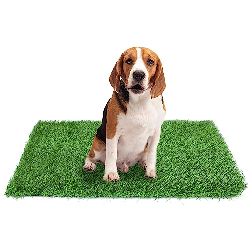 GLOBREEN Dogs Artificial Grass Pee Pad, 39.4" x 31.5" Puppy Turf Potty Training, Thick & High Drainage, Pets Fake Grass for Indoor Outdoor Use