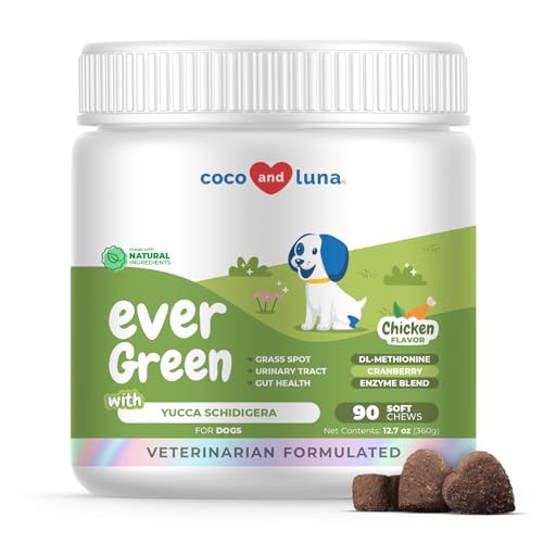 Grass Burn Spot Chew - 90 Soft Chews - Dog Pee Lawn Spot Saver - Urinary Tract Support, Bladder Support for Dogs, Normal Urine - with Probiotics and Canine Enzyme Blend