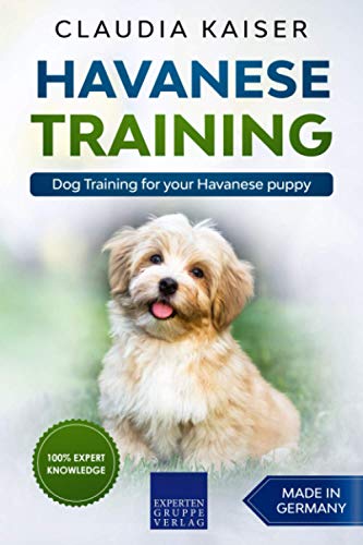 Havanese Training: Dog Training for your Havanese puppy