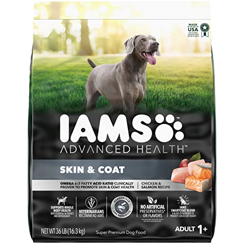 IAMS Advanced Health Skin & Coat Chicken and Salmon Recipe Adult Dry Dog Food, 36 lb. Bag Brown