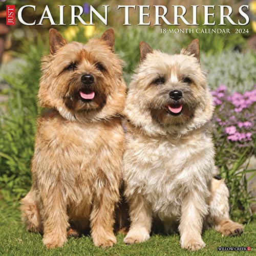 Just Cairn Terriers 2024 Calendar