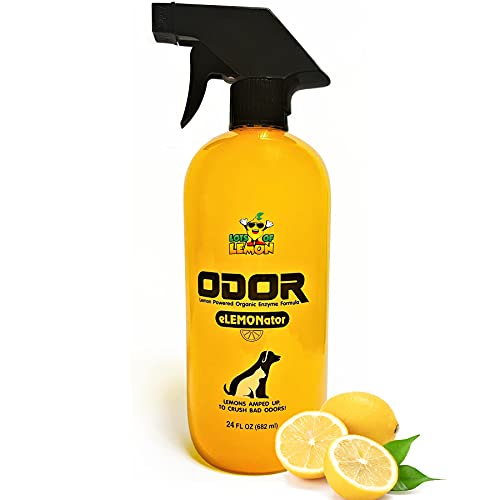 Pet Stain Odor And Urine Remover