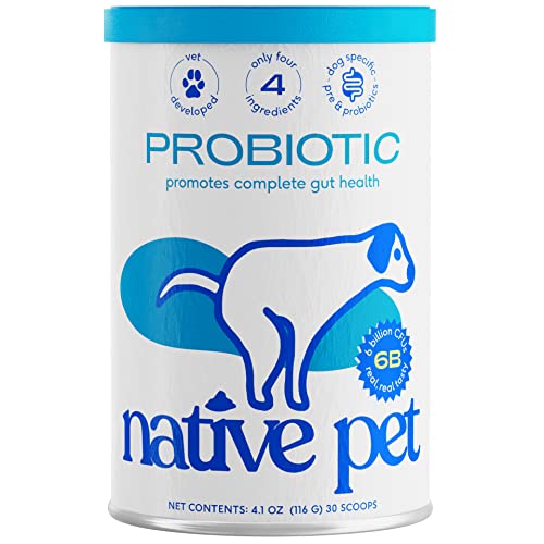 Native Pet Probiotic for Dogs - Vet Created Probiotic Powder for Digestive Issues - Probiotic Powder + Prebiotic + Bone Broth - 232 Gram 6 Billion CFU- Dogs Love! (4.1 oz)