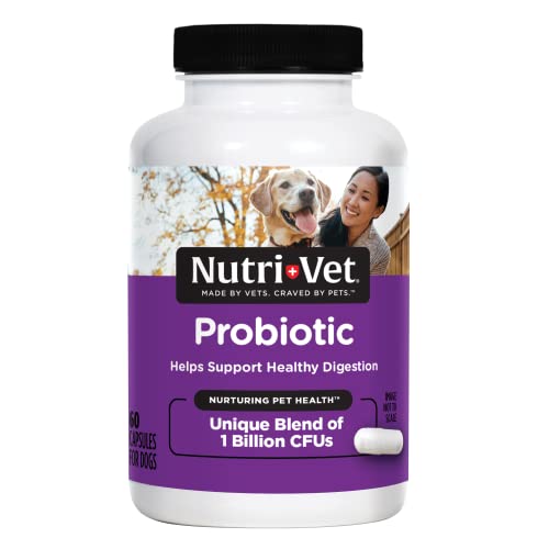 Nutri-Vet Probiotics Capsules for Dogs | Supports Digestive Health | For All Size Dogs | Promotes Healthy Immune System | Vet Formulated | 60 Count Capsules