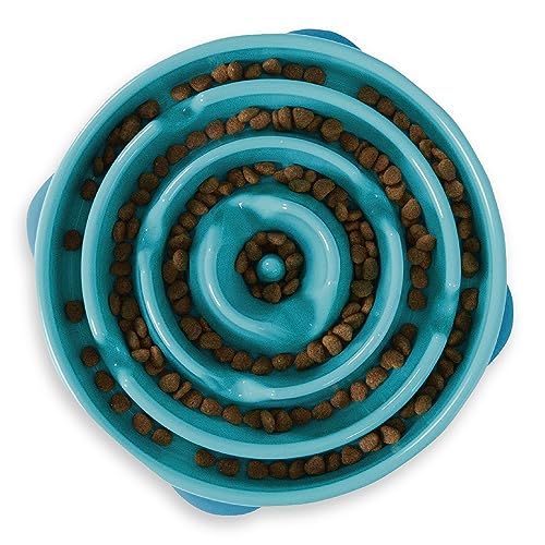 Outward Hound Fun Feeder Slo Bowl, Slow Feeder Dog Bowl, Large/Regular, Turquoise