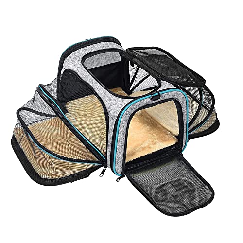 https://vetranch.org/wp-content/uploads/2024/01/pet-carrier-airline-approved-expandable-foldable-soft-sided-dog-carrier-3.jpg