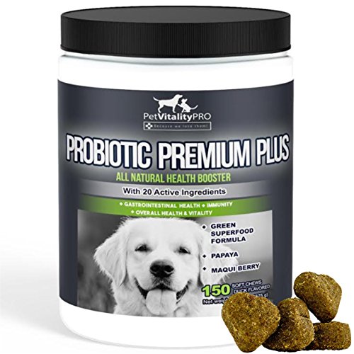 PetVitalityPRO Probiotics for Dogs with Natural Digestive Enzymes ● 4 Bill CFUs/2 Soft Chews ● Dog Diarrhea Upset Stomach Yeast Gas Bad Breath Immunity Allergies Skin Itching Hot Spots ● 150 Count