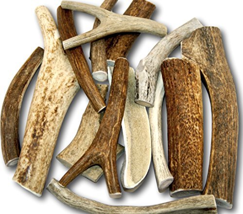 Lamb Trachea For Dogs