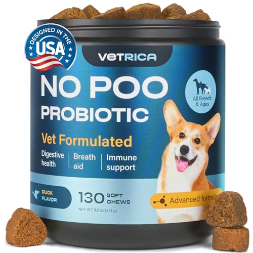 Probiotics for Dogs - Probiotic Chews for Dogs - Gut Health & Immune Support - Dog Probiotics for Digestive, Dental Health - No Poo Chews for Dogs with Enzymes & Pumpkin Powder - Itchy Skin Prevention