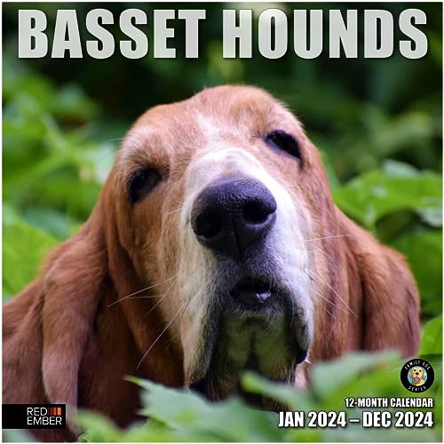 RED EMBER Basset Hounds 2024 Hangable Monthly Wall Calendar | 12" x 24" Open | Thick & Sturdy Paper | Giftable | Cute Dog | Furry Friends