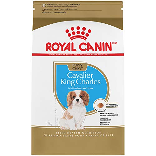 Royal Canin Cavalier King Charles Spaniel Puppy Breed Specific Dry Dog Food, 3 lb. bag