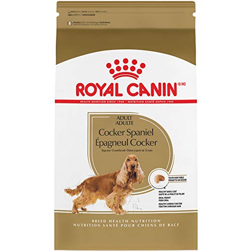 Royal Canin Cocker Spaniel Adult Dry Dog Food, 6 lb bag