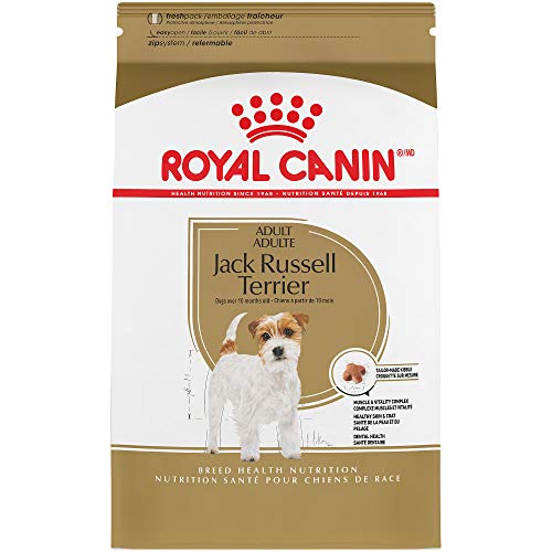 Royal Canin Jack Russell Terrier Adult Dry Dog Food, 3 lb bag