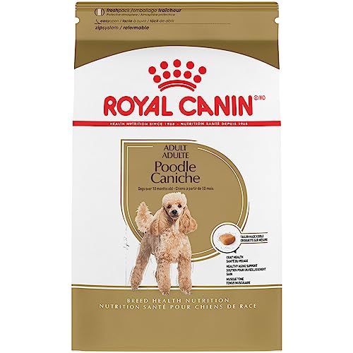 Royal Canin Poodle Adult Breed Specific Dry Dog Food, 10 lb bag