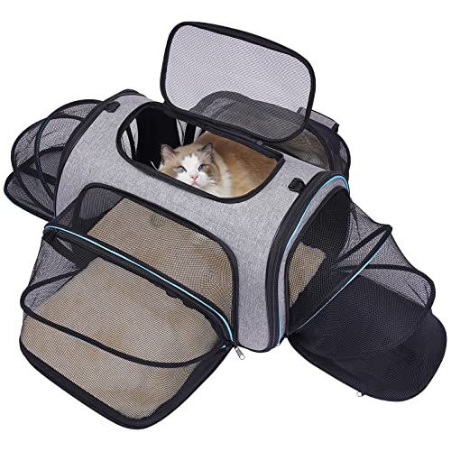 Dog Travel Bag On Wheels