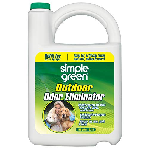 Natural Way To Get Rid Of Dog Urine Smell Outside