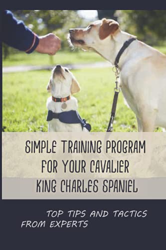 Simple Training Program For Your Cavalier King Charles Spaniel: Top Tips And Tactics From Experts: How To Stop Your Cavalier King Charles Spaniel From Biting Things