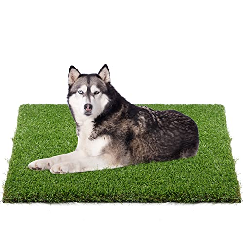 XLX TURF Artificial Grass Mat 48" x 32", Durable Dogs Fake Grass for Pets Potty Training, Artificial Turf Grass Rug for Patio Outdoor Indoor Decor
