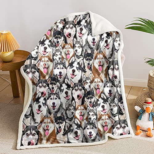 AILONEN Husky Dog Blanket for Kids Adults, Husky Animal Pattern Dog Blanket Husky Gift for Husky Lovers,Double Sided Blanket Sherpa Throw Print Flannel Fleece (59 x 47 inches)