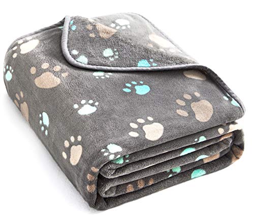 Allisandro Super Soft and Premium Fuzzy Flannel Fleece Pet Dog Blanket, The Cute Print Design Washable Fluffy Blanket for Puppy Cat Kitten Indoor Outdoor, Grey, 32 x 24 Inches