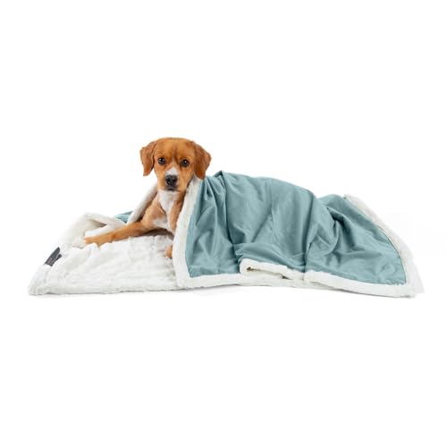 Best Friends by Sheri Premium Self-Warming Ilan Microfiber Faux Fur Pet Throw Blanket 40x50 in Tide Pool