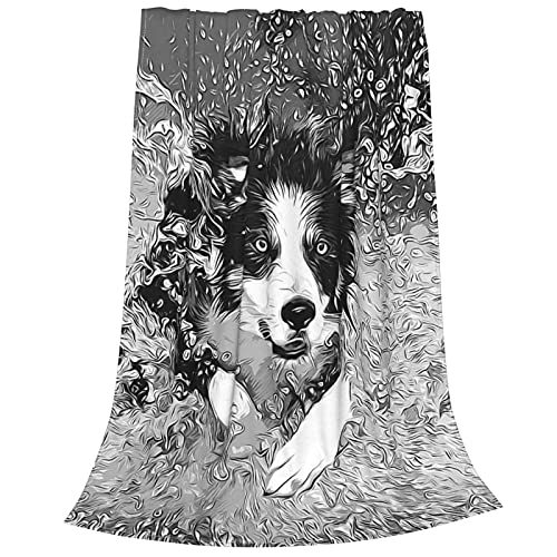 Border Collie Blanket Dog Flannel Throw Bed Blankets Cozy Lightweight Soft Bedding for Sofa and Bed 80x60 Inch