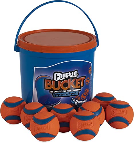 Chuckit! Ultra Ball Dog Toy, Medium (2.5" Diameter), Pack of 8 with Chuckit Cleaning Bucket